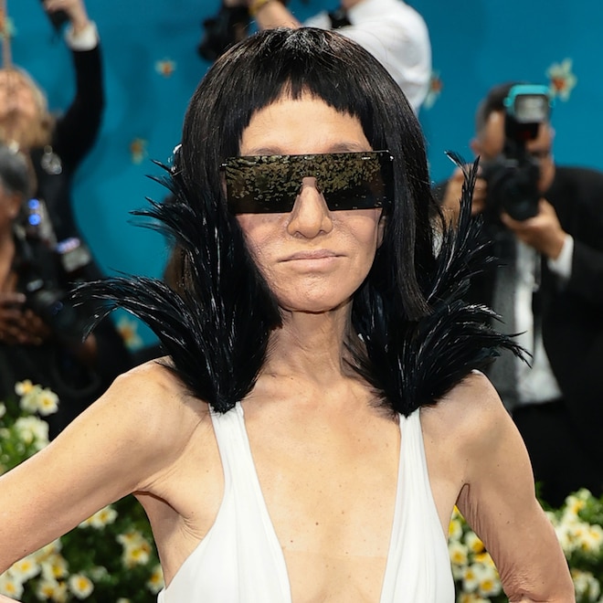 2025 Met Gala: Vera Wang Is Unrecognizable With Incognito Look